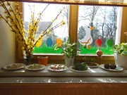 Pozorujeme jak klíčí a rostou semínka